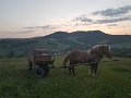 Vatra 2017   7